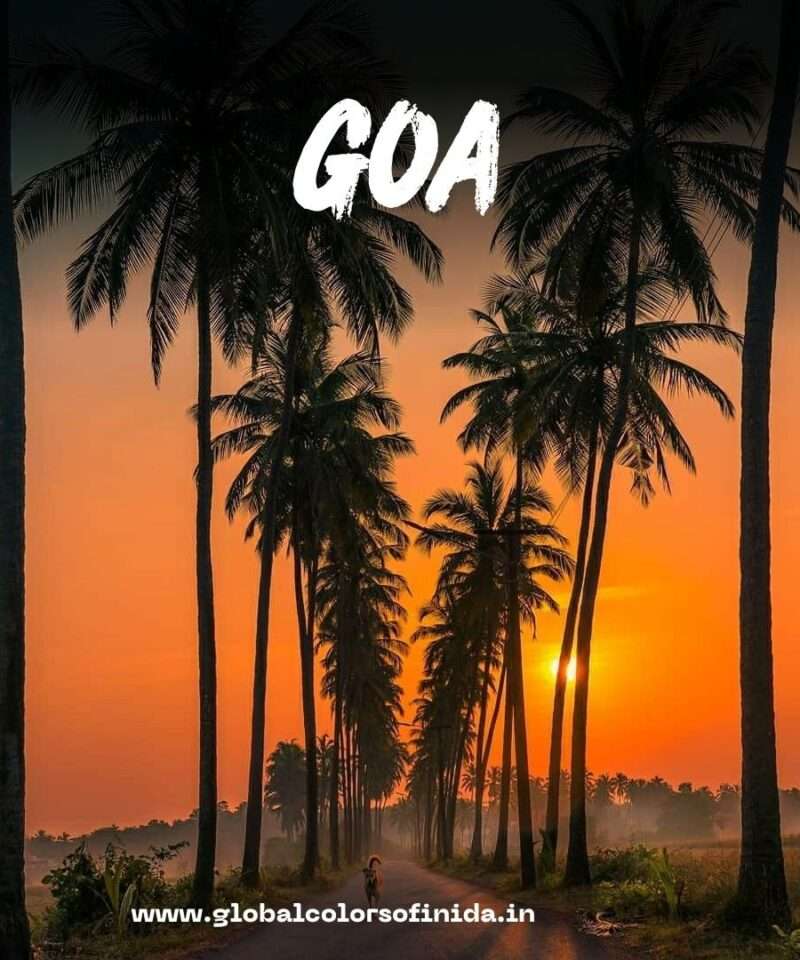 Goa Tour Packages by Global Colors of India