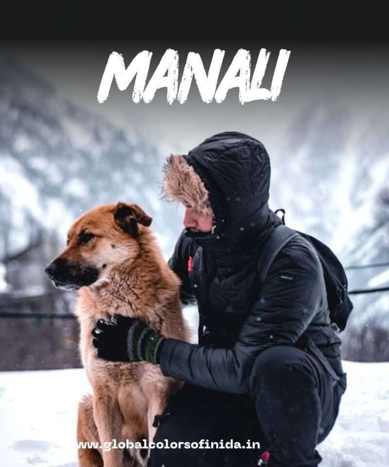 Manali Tour Packages by Global Colors of India